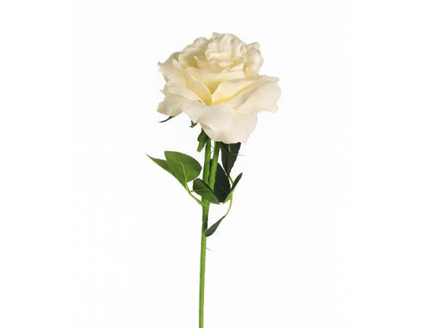 Slika Ruža 75 cm; bijela