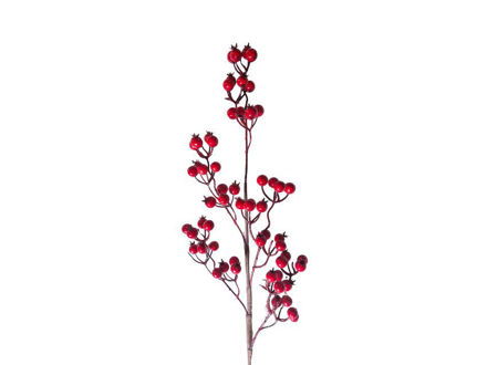 Slika Grana berry 73 cm; crvena
