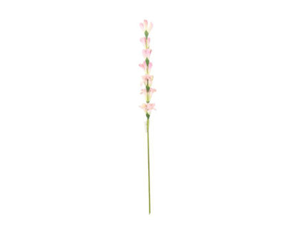 Slika Tuberoza 86 cm; sv.roza