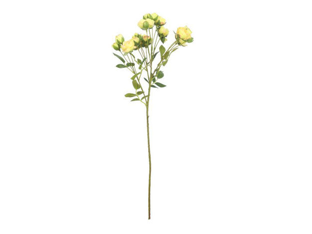 Slika Grana ruža 60 cm; žuta
