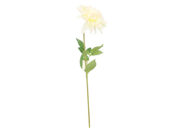 Slika Dalia 61 cm; bijela