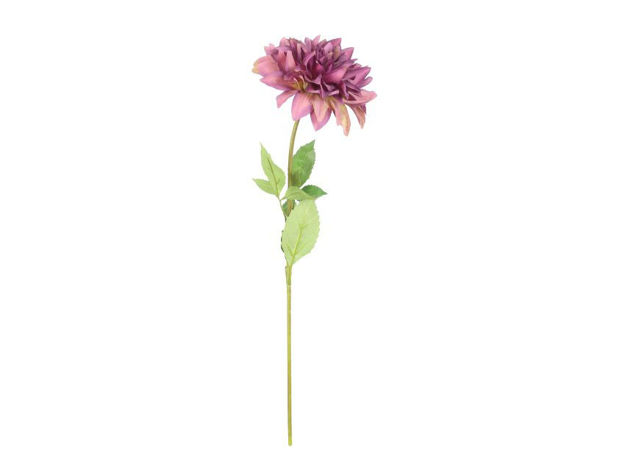 Slika Dalia 61 cm; ciklama