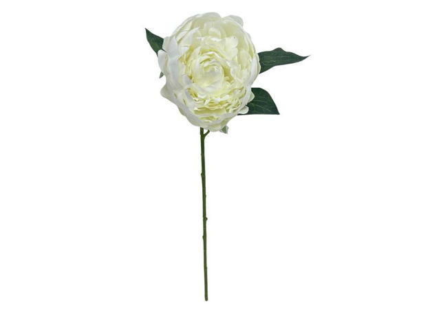 Slika Peonija 50cm; bijela
