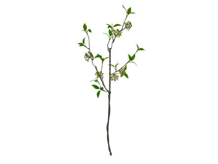 Slika Grana zelenila 80cm ; zelena