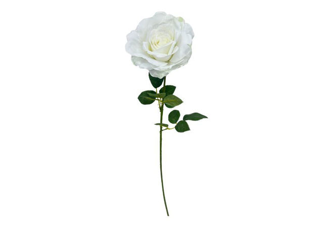Slika Ruža 70cm; bijela