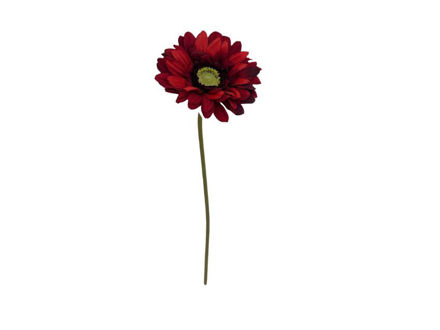 Slika Gerber 48cm; crvena