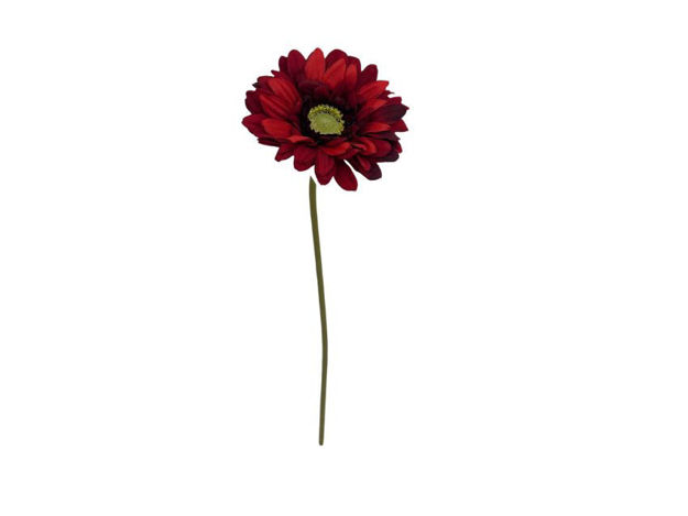 Slika Gerber 48cm; crvena