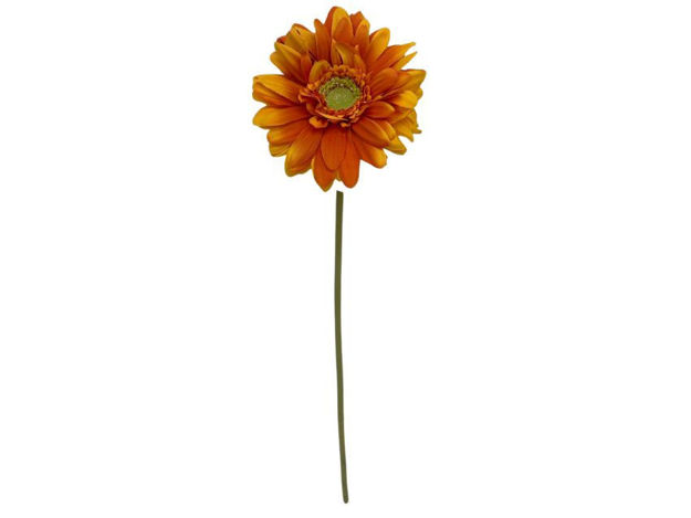 Slika Gerber 48cm; narančasta