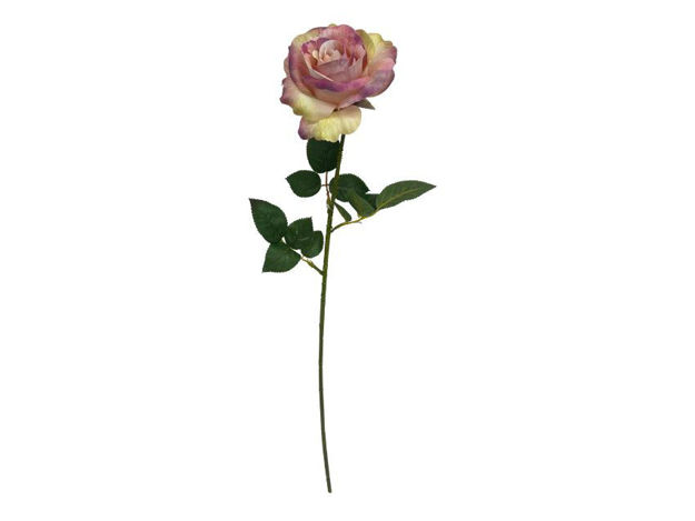 Slika Ruža 70cm; roza