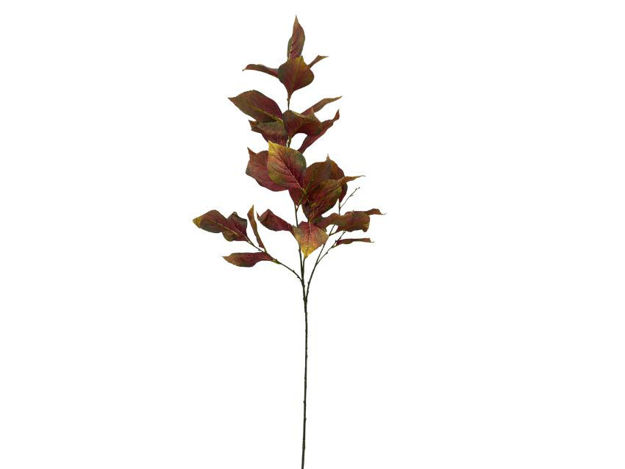 Slika Grana zelenila 110cm; smeđa