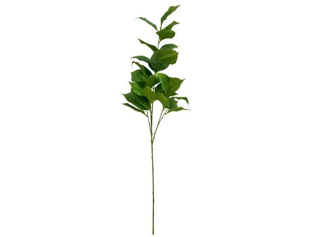 Slika Grana zelenila 110cm; zelena
