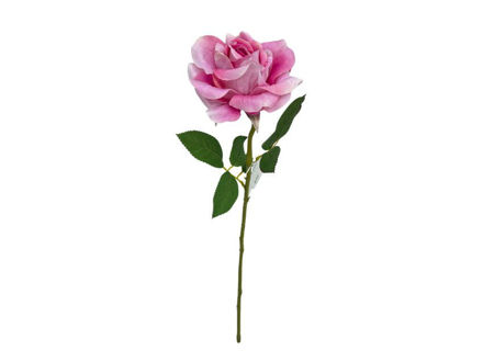 Slika Ruža 59cm; t.Roza
