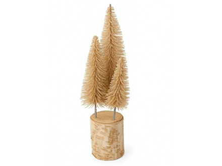 Slika Borovi na stalku 40x12cm; natur