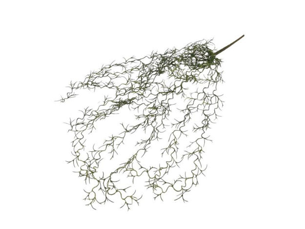 Slika Grm, umjetno zelenilo Asparagus viseći 60cm