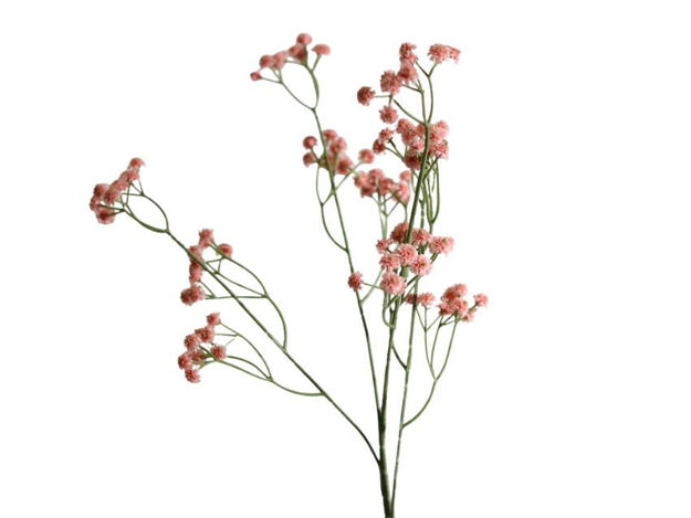 Slika Gipsofilija 65 cm roza