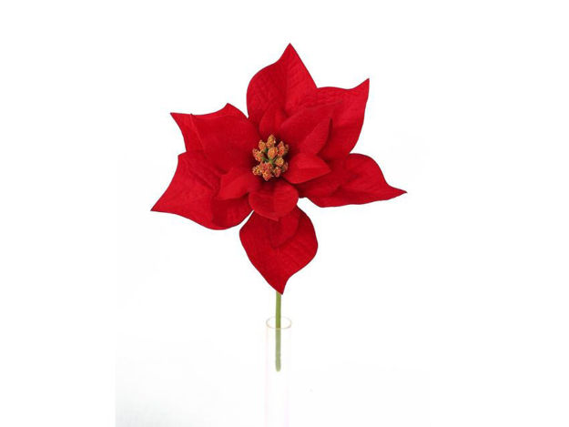 Slika Pik božićna zvijezda 33 cm; crvena