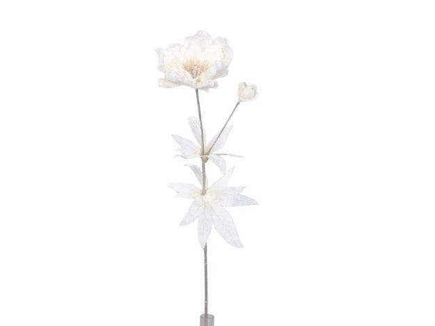 Slika Ruža zasnježena 60 cm; krem