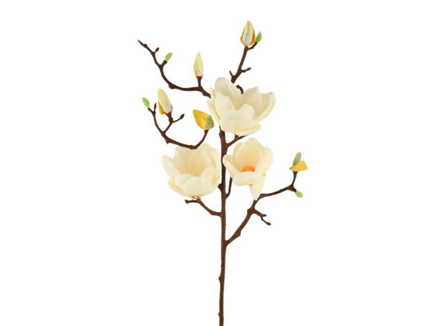 Slika Magnolija 92cm 3c+9p krem