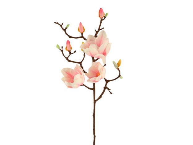 Slika Magnolija 92cm 3c+9p sv.Roza