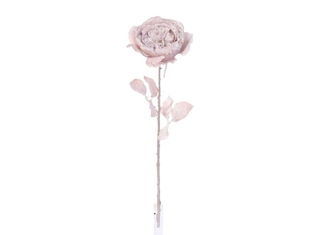 Slika Ruža engleska zasnježena 53 cm/d13 cm