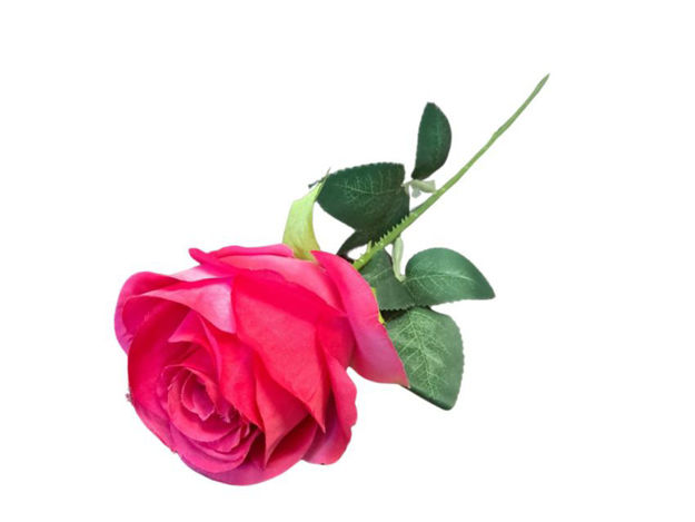 Slika Ruža 49 cm; d 10 cm, ciklama