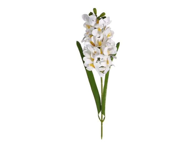 Slika Zumbul 35 cm; bijela