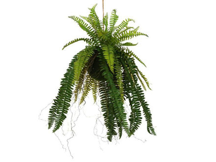 Slika Viseća dekoracija paprat na kugli 60cm