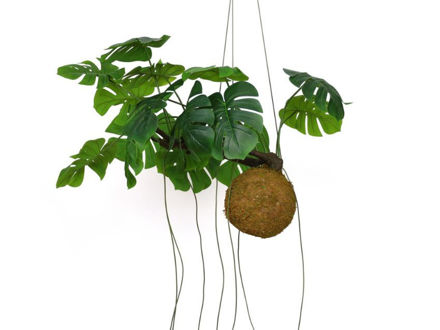 Slika Viseća dekoracija monstera na kugli 80cm