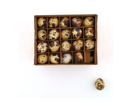 Slika Jaja prepelice 60kom natur