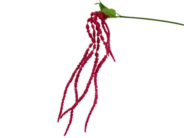 Slika Amarant/štir 122 cm prljavo roza