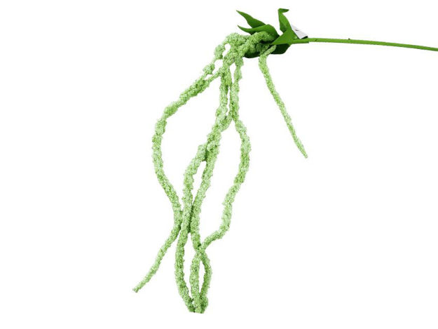 Slika Amarant/štir 122 cm sv.zelena