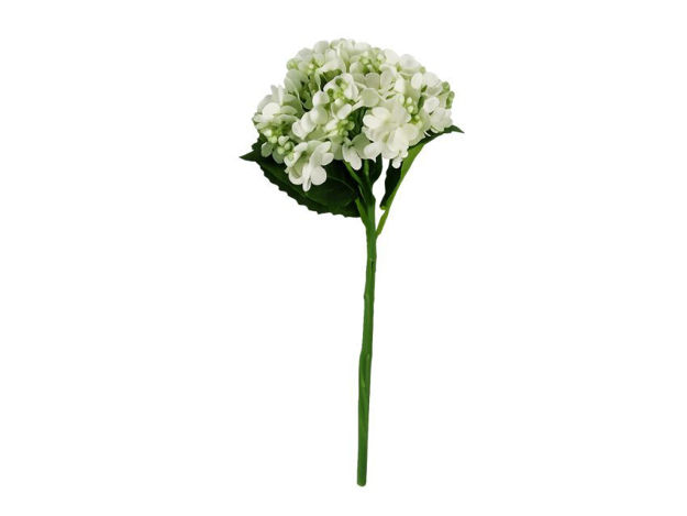 Slika Hortenzija 35 cm, bijela