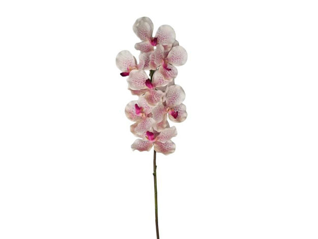 Slika Orhideja vanda 79 cm; svjetlo roza
