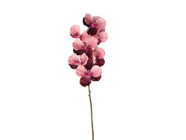 Slika Orhideja vanda 79 cm; mix prljavo roza/tamno ljubičasta
