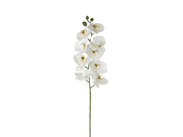 Slika Orhideja phalaenopsis 96 cm; bijela