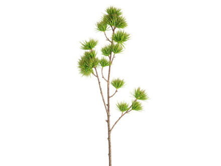 Slika Grana bora 110 cm; zelena