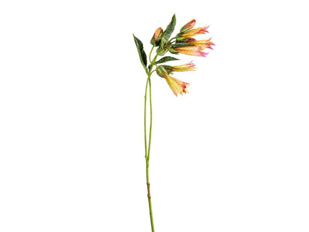 Slika Grana dekorativna 70 cm; žuta