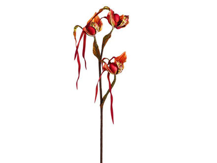 Slika Orhideja tigrasta 96 cm; roza