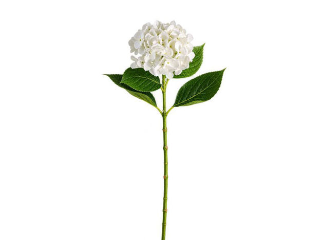 Slika Hortenzija 67 cm; bijela