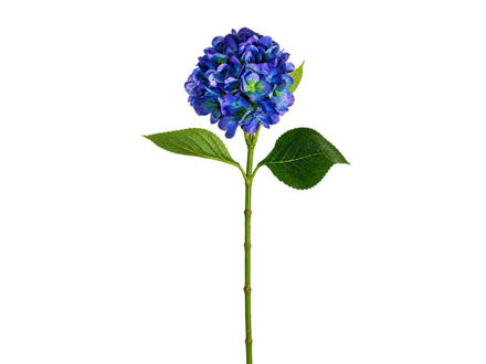 Slika Hortenzija 67 cm; plava