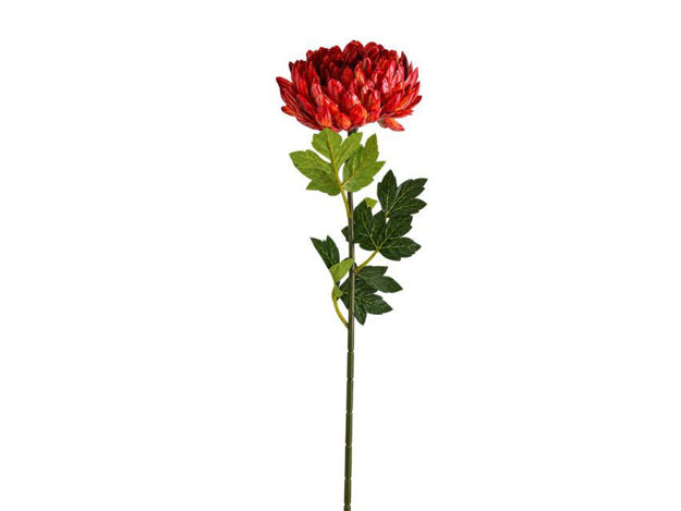 Slika Krizantema 67 cm; d10 cm; crvena