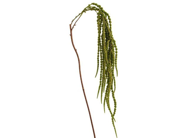 Slika Amarant 160 cm; zelena