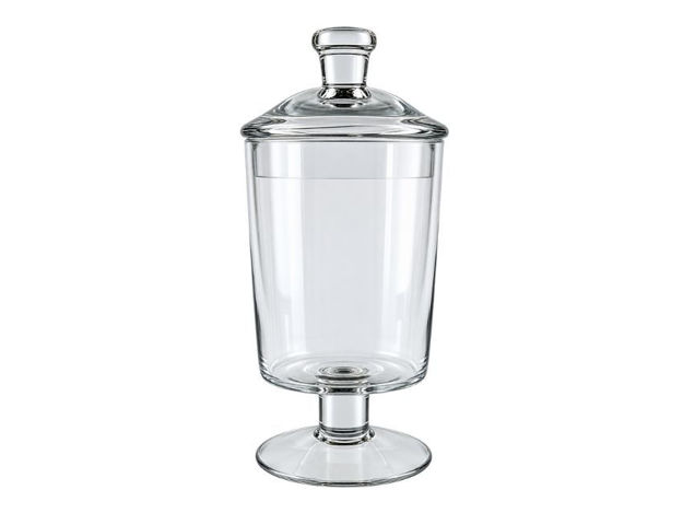 Slika Posuda staklo s poklopcem d11.5 h26cm; transparent