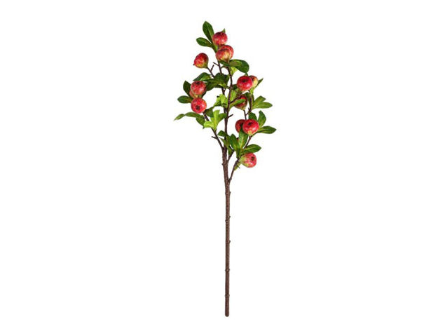 Slika Grana smokve 80 cm; zelena/ljubičasta