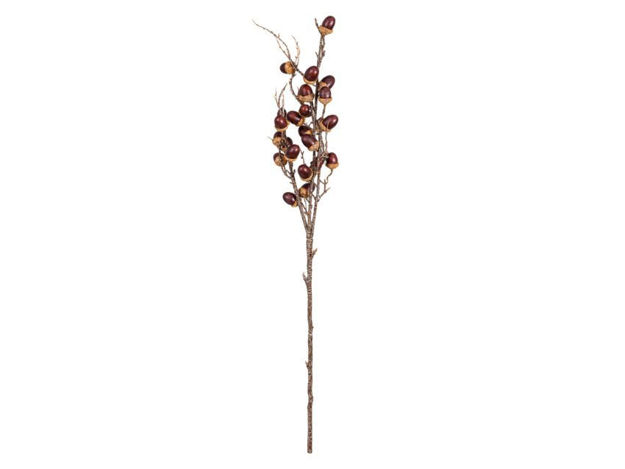 Slika Grana žir 100 cm; smeđa
