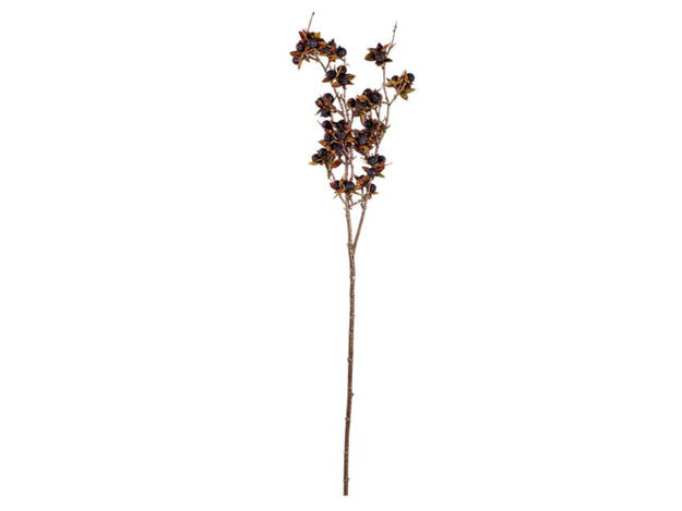 Slika Grana s bobicama 75 cm; tamno smeđa/crna