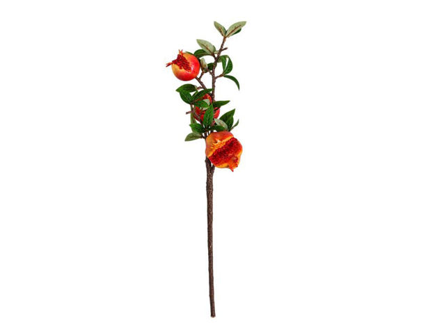 Slika Grana šipka 56 cm; 3 ploda; žuta/crvena