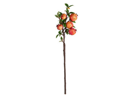 Slika Grana šipka 67 cm; 5 plodova; žuta/crvena