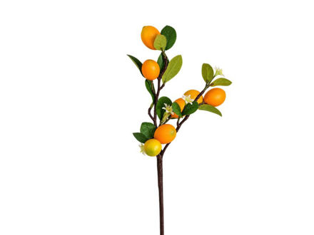 Slika Grana limuna 56 cm;7 plodova; žuta