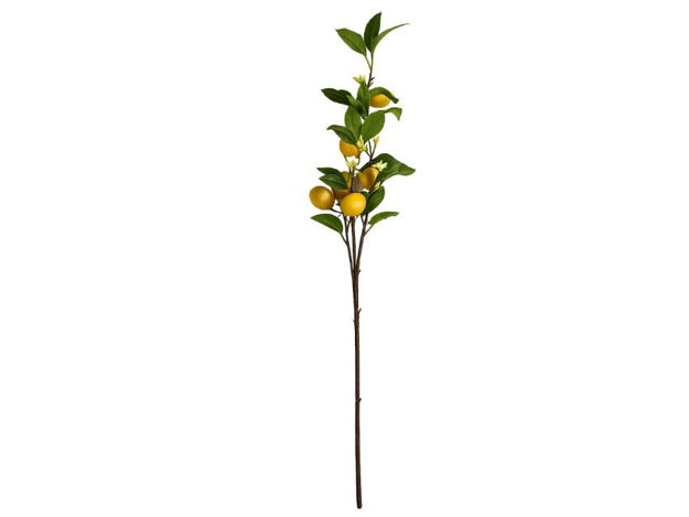 Slika Grana limuna 85 cm; 7 plodova; žuta